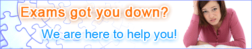 writing services